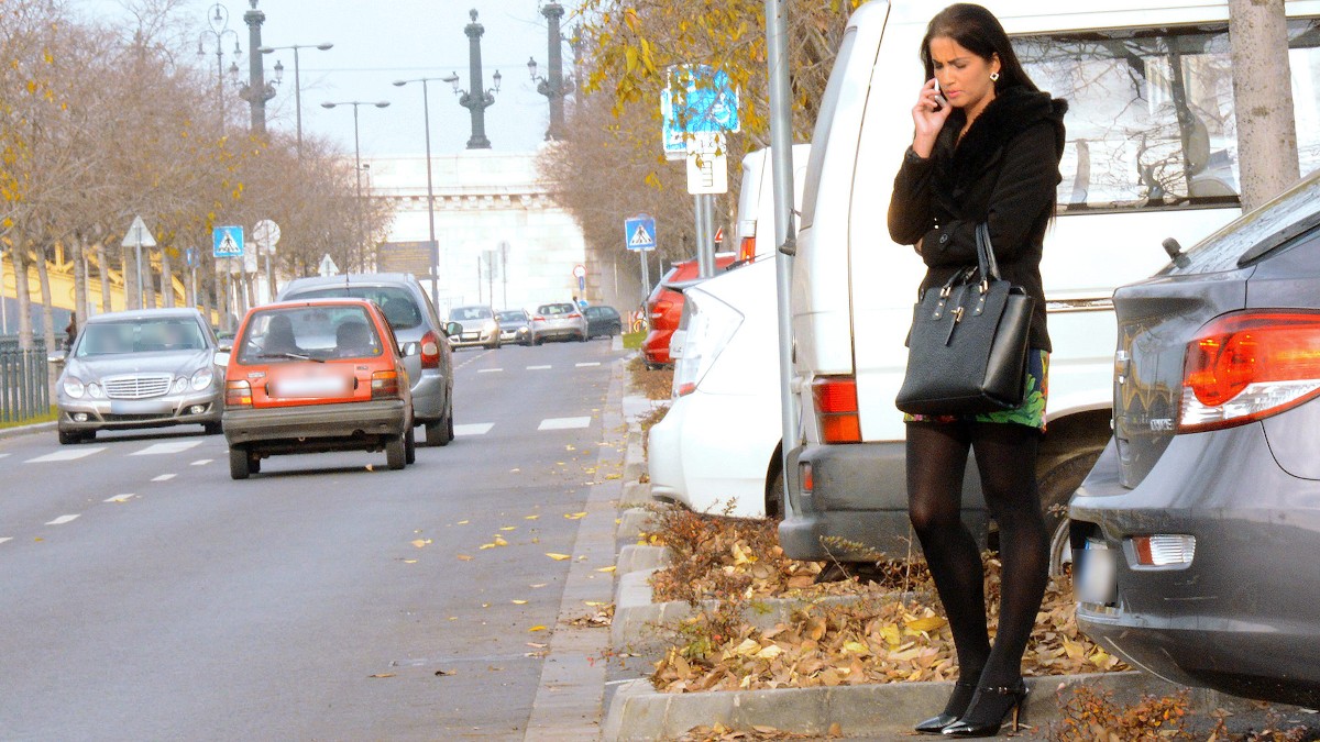 Hungarian Babe's Backseat Fuck