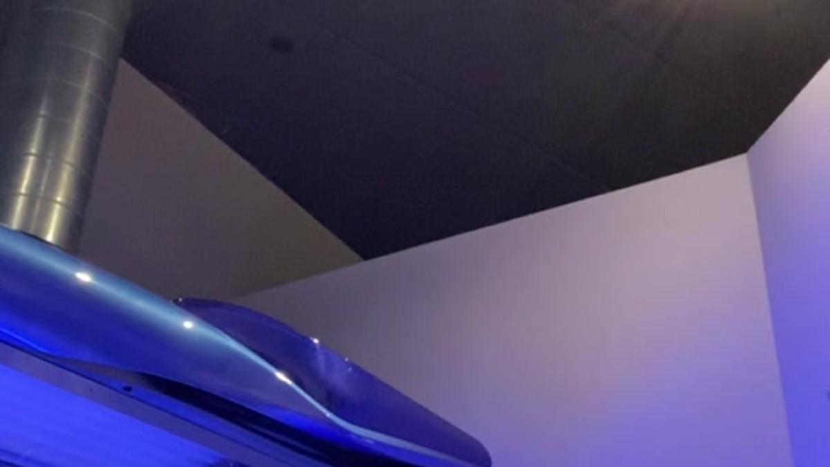 It Rubs The Lotion On Its Skin!