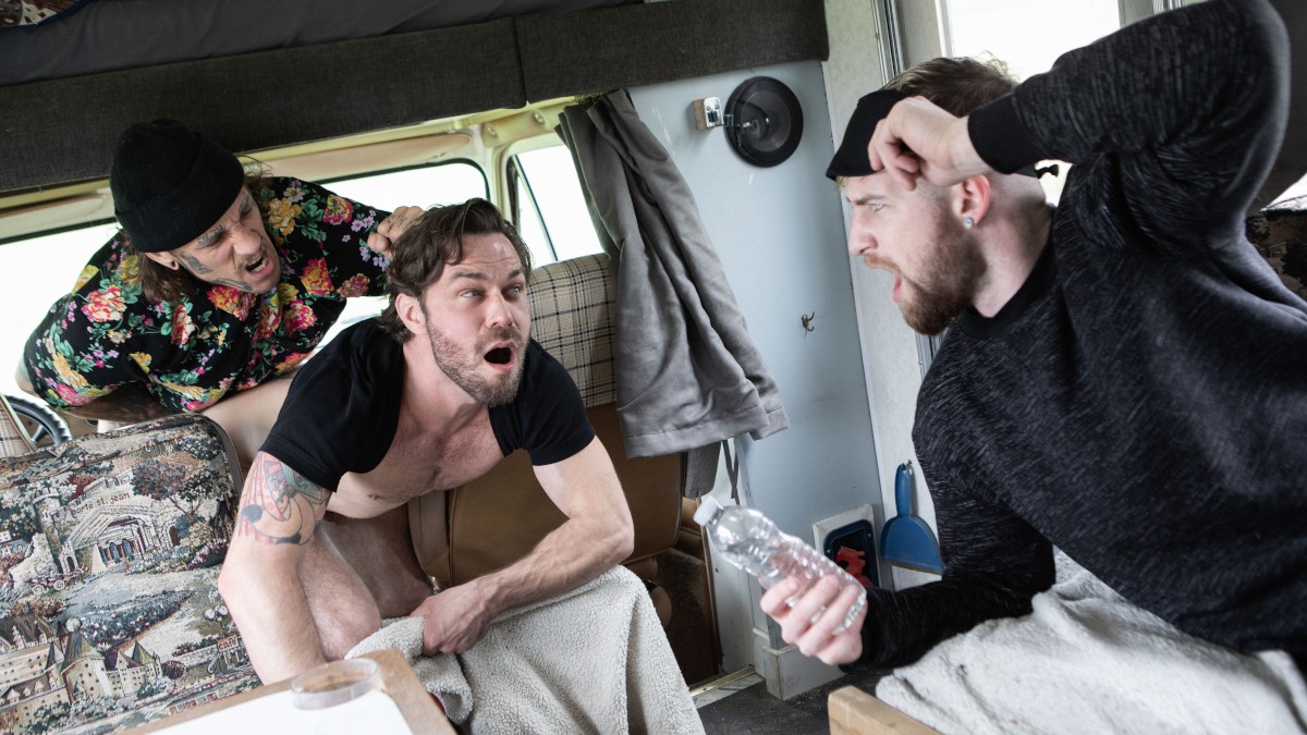 Breeding the Happy Camper