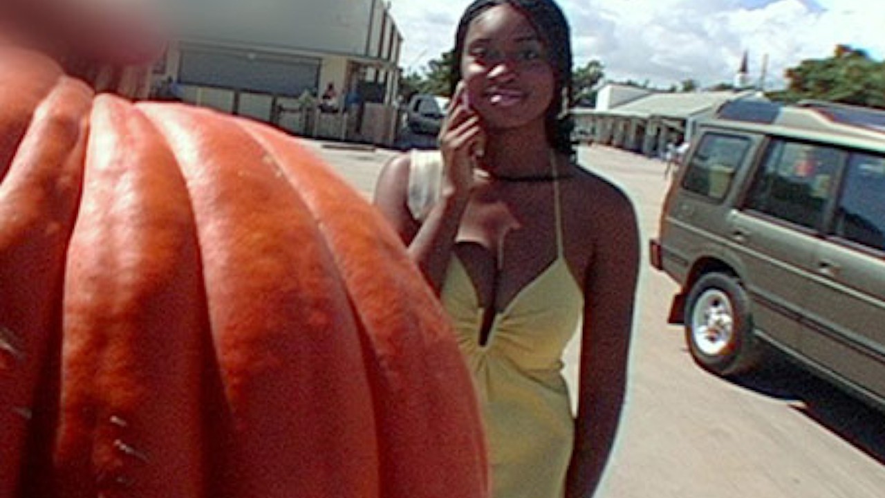 A taste of Jade's Pumpkin Tits – Scene Poster on bangbros with Jade Skye 