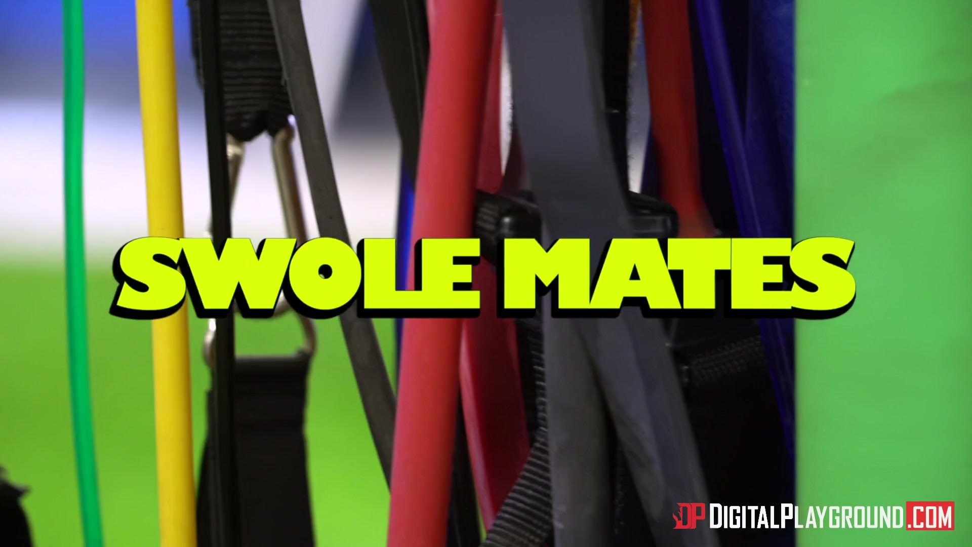 Swolemates 2