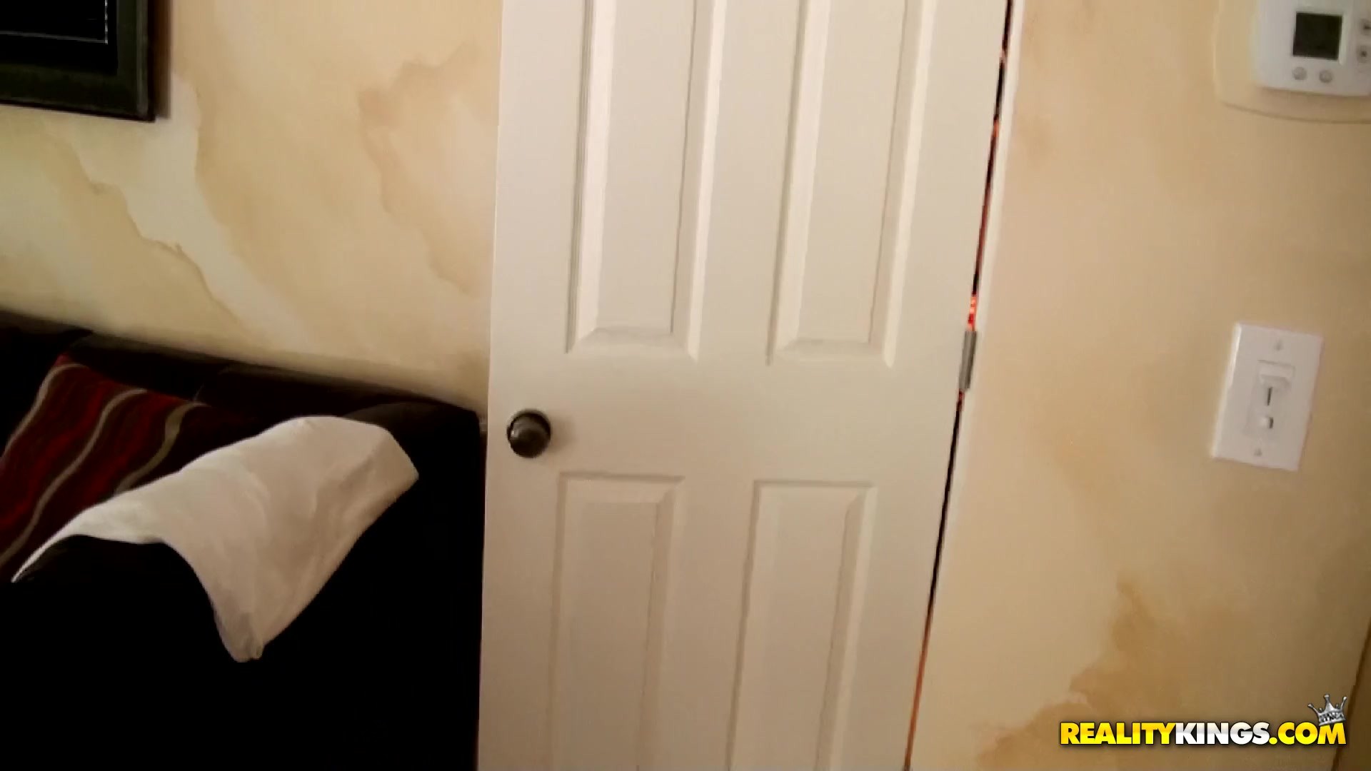 Cock Dog 3