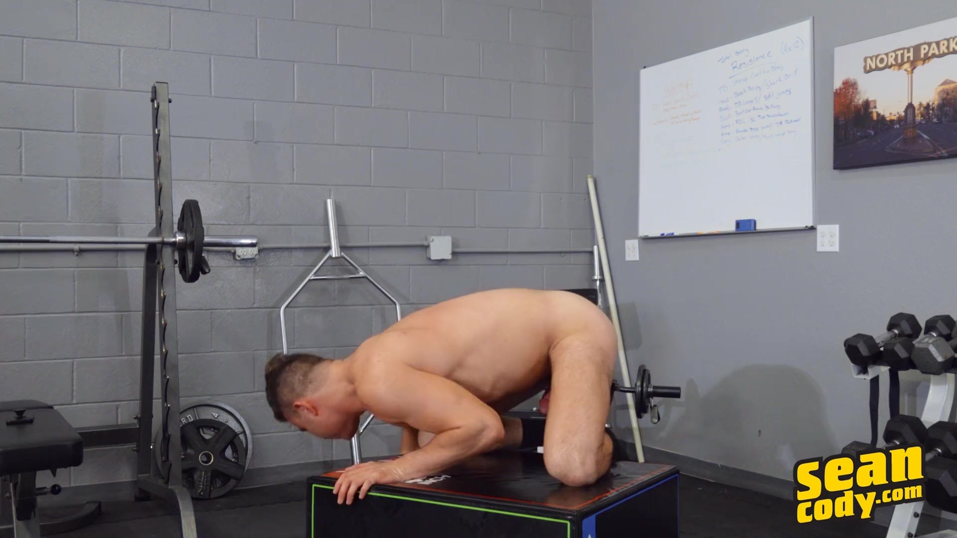 Blake Ryan: Solo 5