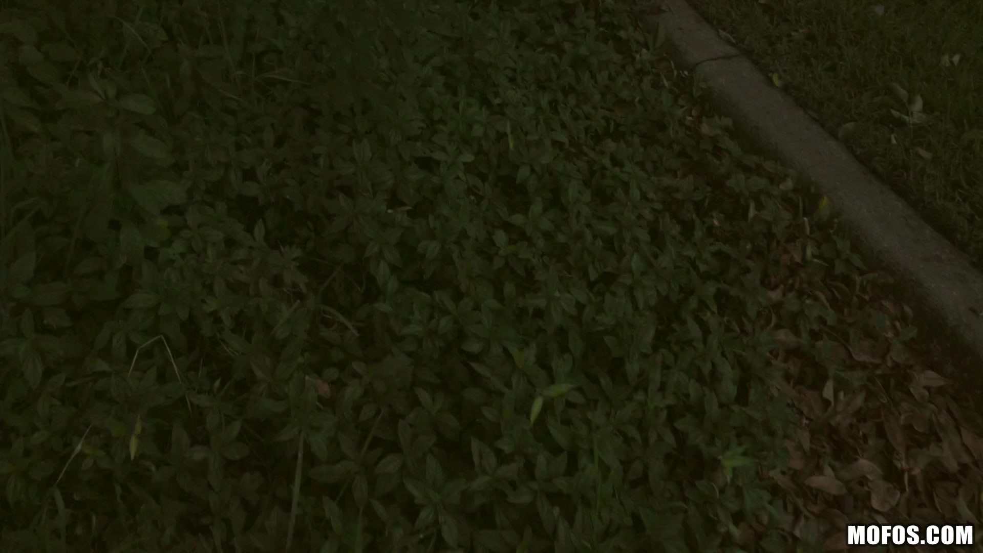 Side Of The Road Hoe 3