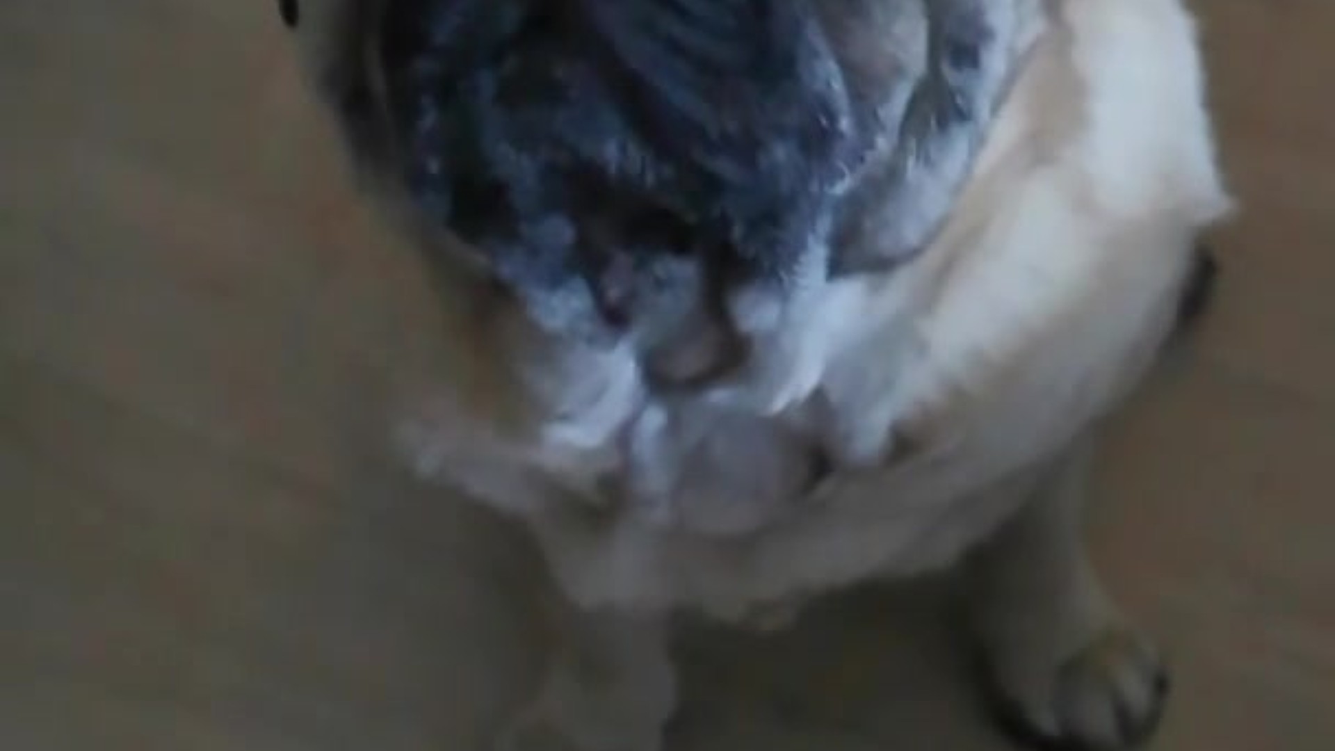 Mopi